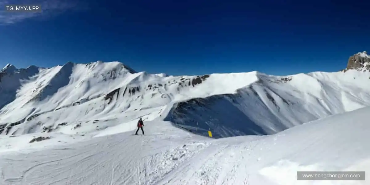 🎯精准定制，专属你的运动装备库！🔧